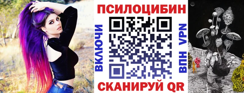 купить   Гусь-Хрустальный  Галлюциногенные грибы мицелий 